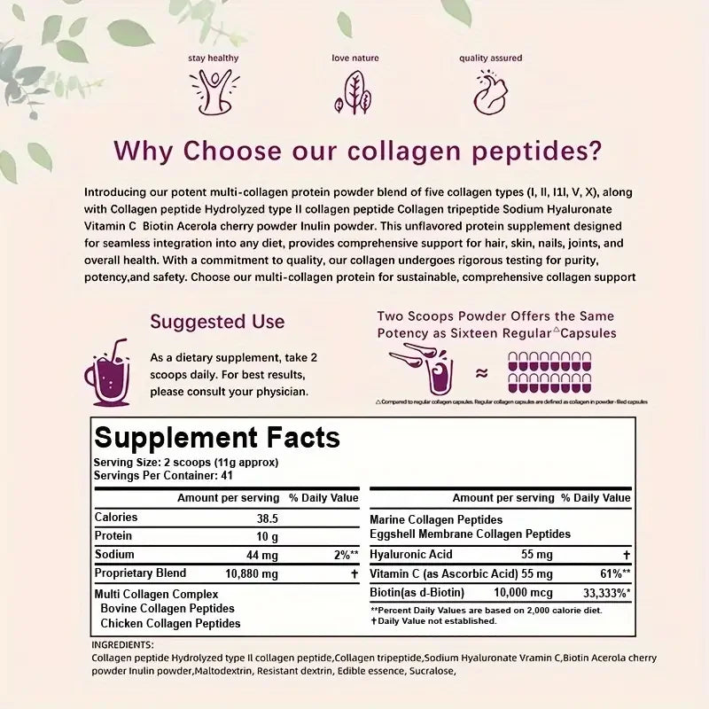 Poudre de peptides multi-collégènes de qualité supérieure