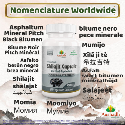 Shilajit Capsule